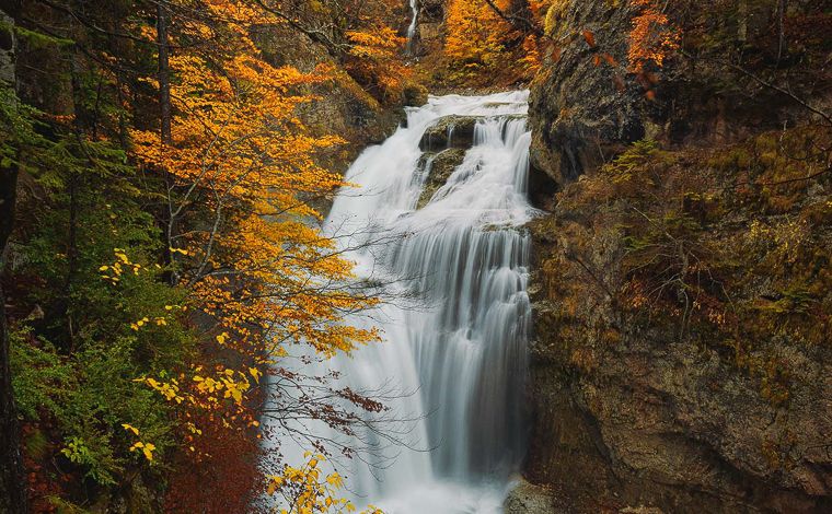 Luminar para móvil: la guía completa image